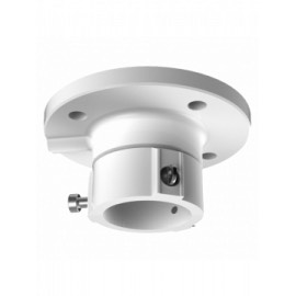 Hikvision DS-1663ZJ - Soporte de techo para domos motorizadas